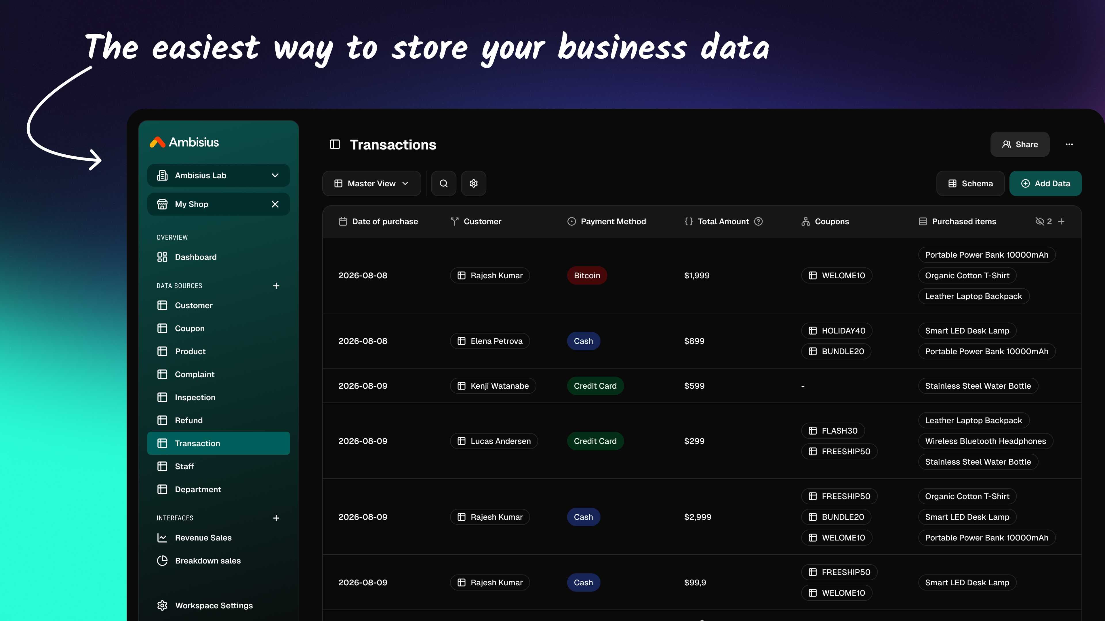 Business database with spreadsheet-like interface showing sales transactions in Ambisius