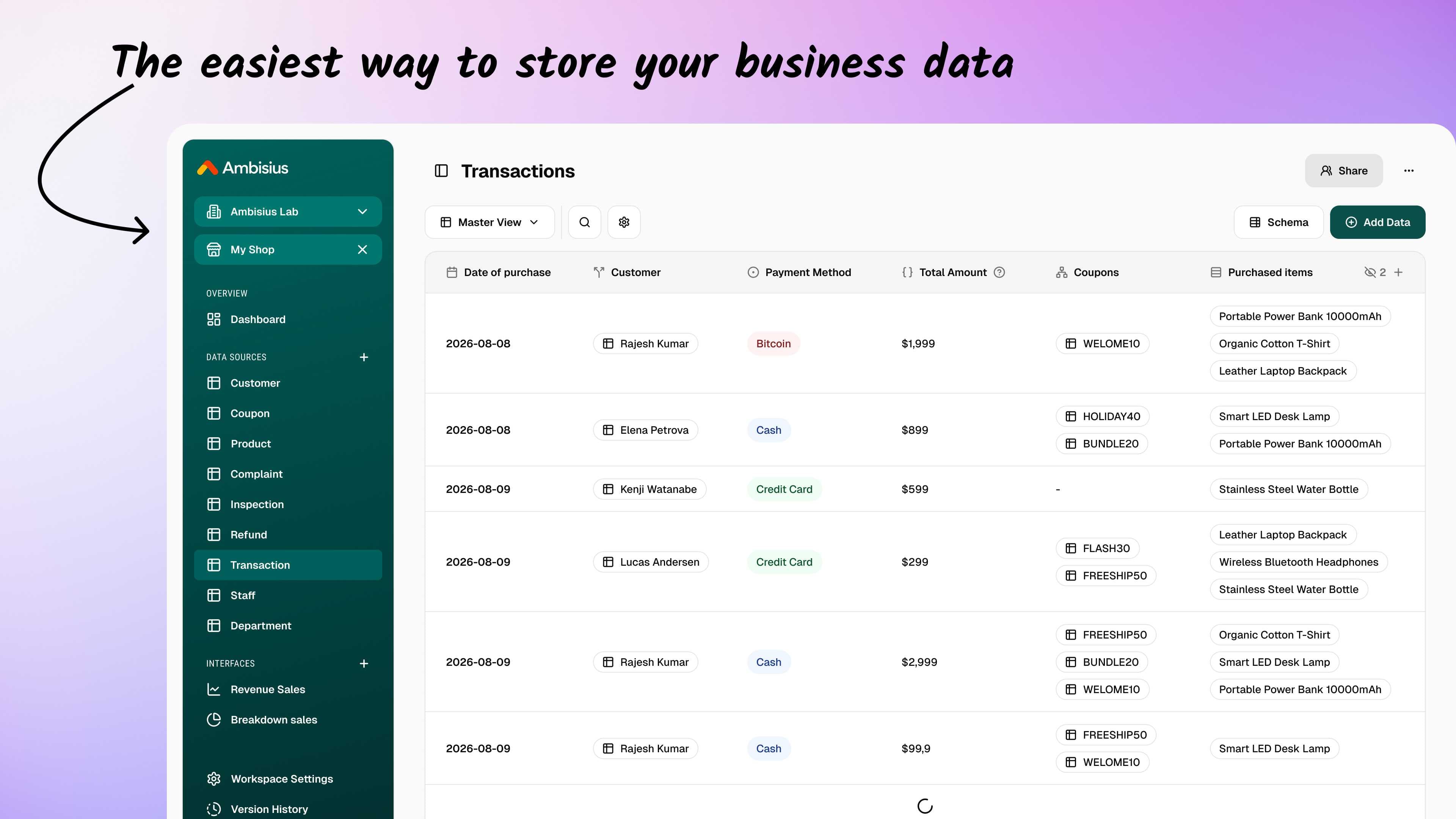 Business database with spreadsheet-like interface showing sales transactions in Ambisius