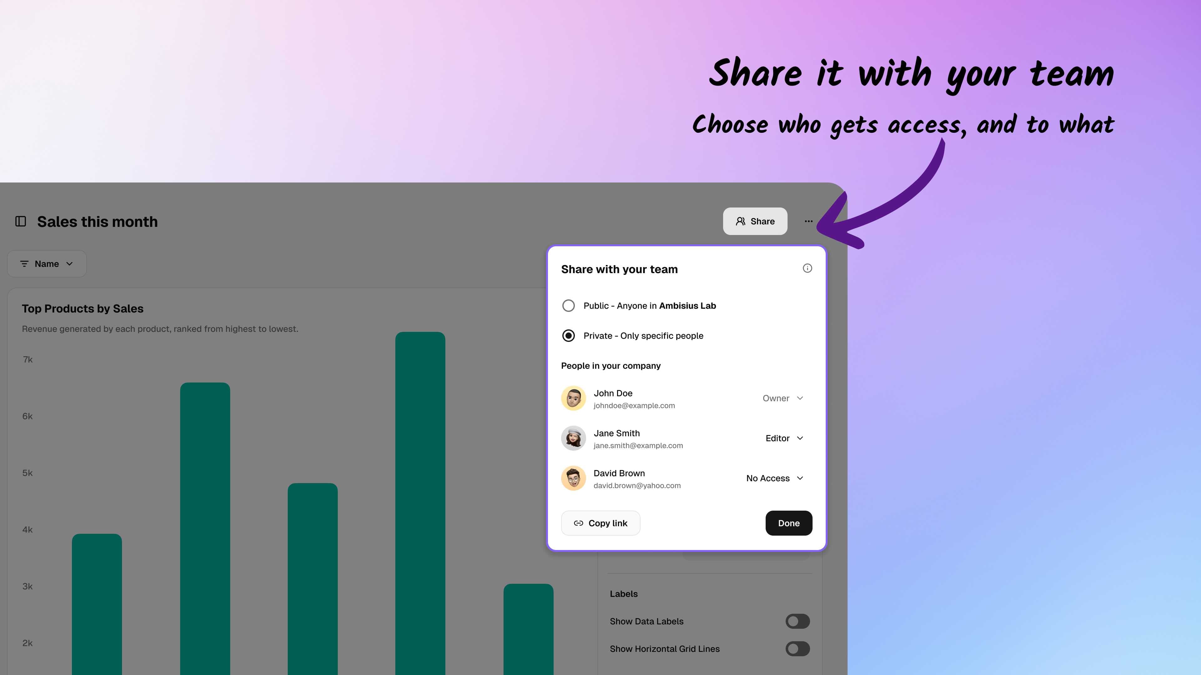 Sharing specific pages with team members using Ambisius permission control